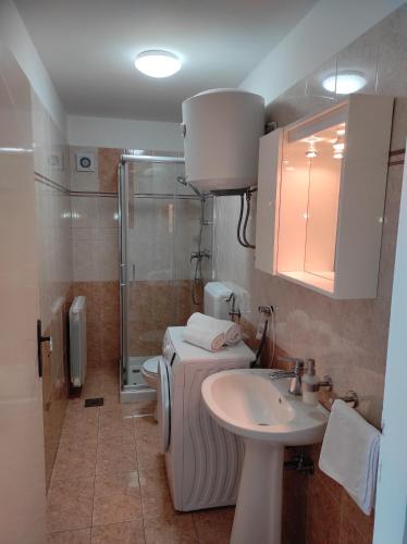 a bathroom with a toilet and a sink and a shower at Apartman Poldrugovac in Labin
