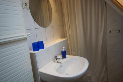 a bathroom with a sink and a mirror and a shower at Apartment Johanna Oberhof in Oberhof