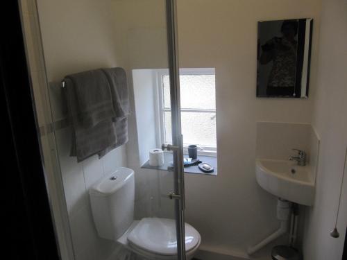 a bathroom with a toilet and a sink and a window at Cottage on the Green in Brackley