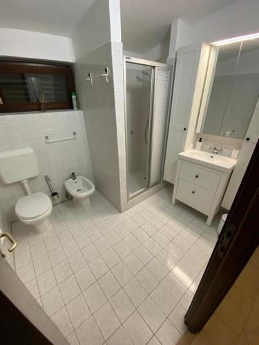 a bathroom with a toilet and a shower and a sink at Apartments Kosljun 123 in Košljun