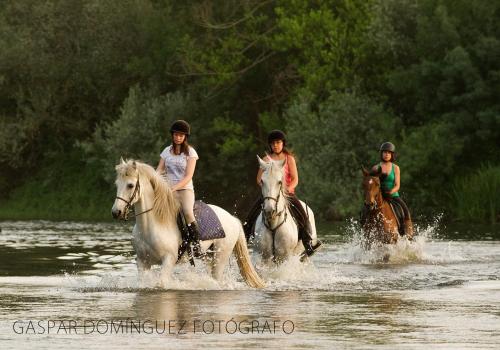 three people riding horses through a river at Complejo Oasis Beach sobre el Rio in Huerta