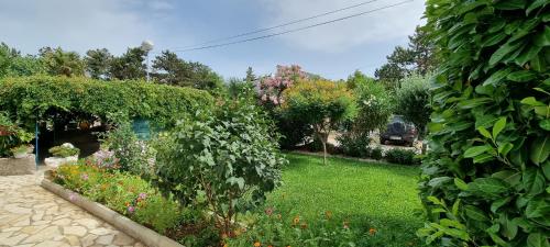 Bella Nina Apartments – Photos 3
