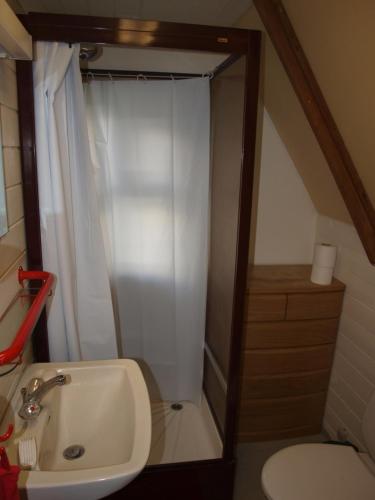a bathroom with a shower with a sink and a toilet at Hömluholt Holiday Homes in Hömluholt