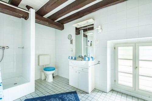 bagno bianco con servizi igienici e lavandino di Surfinia - piscine partagée - proche Europa Park a Hessenheim