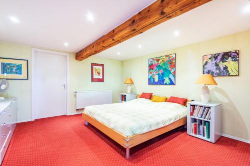 um quarto com uma cama grande e um tapete vermelho em Surfinia - piscine partagée - proche Europa Park em Hessenheim