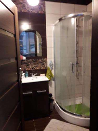a bathroom with a shower and a sink and a mirror at Sloneczny apartament w Giżycku in Giżycko