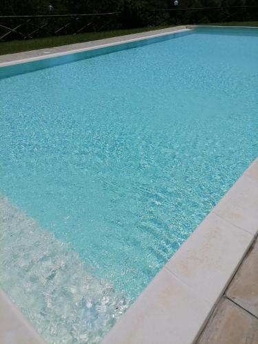 a swimming pool with blue water in a yard at Fattoria di Rigone in Coltavolino