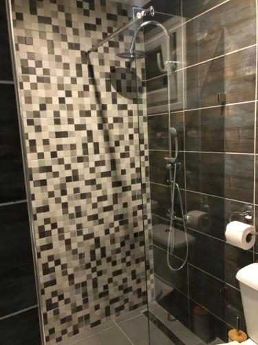 a bathroom with a glass shower with a toilet at Ammos Hotel in Agia Triada