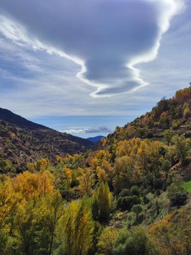 a view of a valley with trees and mountains at La Launa apartamento rural in Trevélez