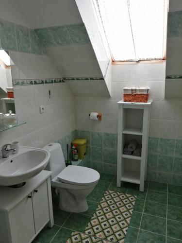 a bathroom with a toilet and a sink at Slunečnice - Ubytování v soukromí na Třeboňsku in Třeboň