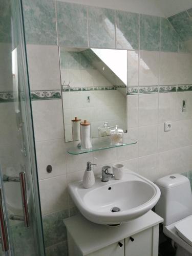 a bathroom with a sink and a shower at Slunečnice - Ubytování v soukromí na Třeboňsku in Třeboň