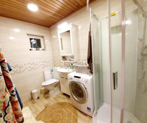 a bathroom with a washing machine and a toilet at Kalda Holiday Home in Otepää