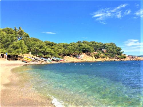plaża z łodziami w wodzie i drzewami w obiekcie VILLA BELLA I w mieście La Seyne-sur-Mer