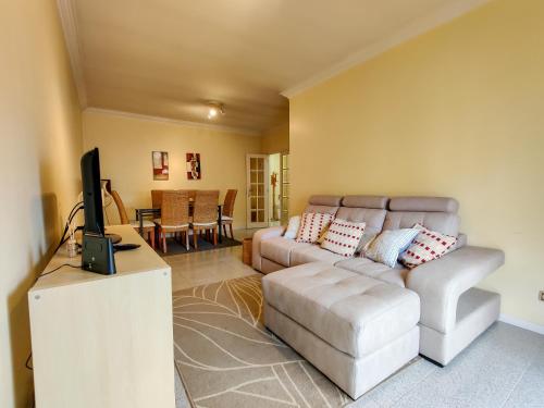 a living room with a couch and a television at Ap Amorosa Praia - 5 minutes From the Beach in Viana do Castelo
