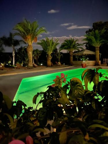 a plant in front of a pool at night at Tropic Hôtel in Rivesaltes