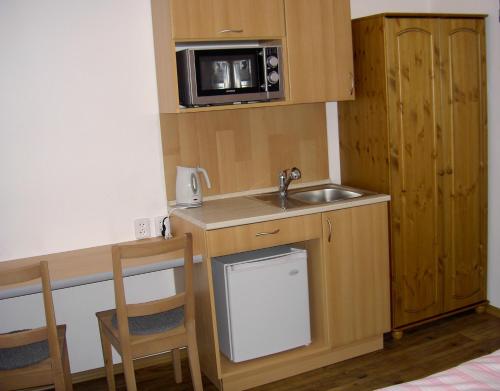 特热邦Penzion Chocholoušek的带水槽和微波炉的小厨房