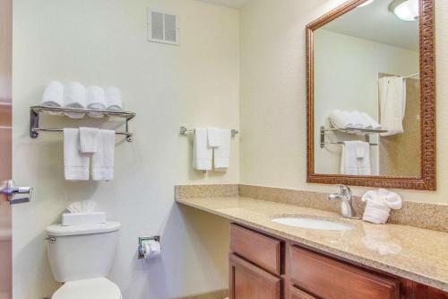 Bilik mandi di MainStay Suites Texas Medical Center-Reliant Park