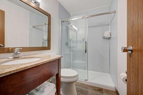 a bathroom with a shower and a toilet and a sink at Quality Inn near Mesa Verde in Cortez