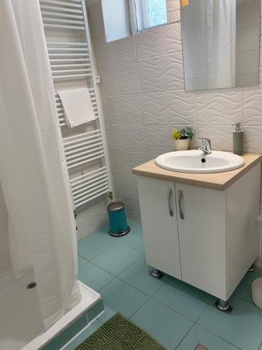 a bathroom with a sink and a shower at Bazsalikom Vendégház in Sárospatak