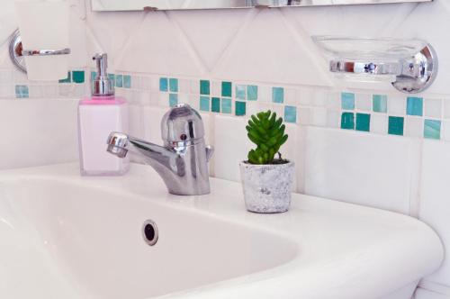 a bathroom sink with a faucet and a plant on it at Mimì B&B in Ravello