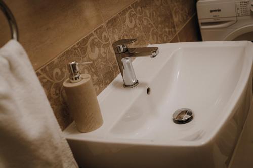 Bilik mandi di Dózsa Apartman Szeged