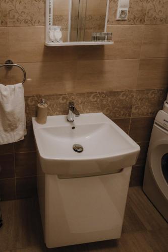 Bilik mandi di Dózsa Apartman Szeged