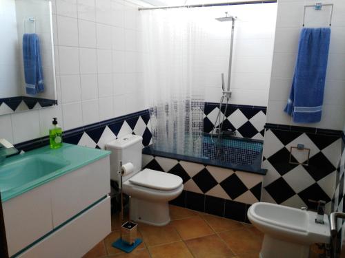 e bagno con servizi igienici, doccia e lavandino. di Villa Ca Na Llum a Trebeluger