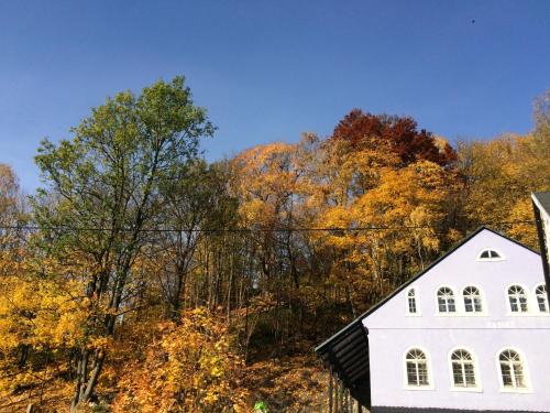 UBYTOVÁNÍ u BRABANTÍKA