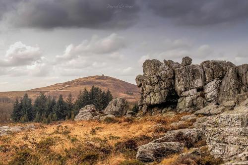 a group of rocks on a field with a mountain at Vacances au calme in Plounevez-Moëdec
