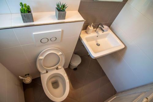 a small bathroom with a toilet and a sink at Villa Pavicini 2181 in Šegotići