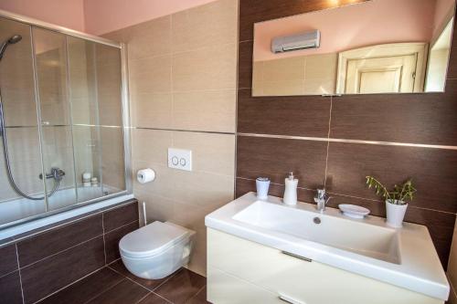 a bathroom with a sink and a toilet and a mirror at Villa Pavicini 2181 in Šegotići