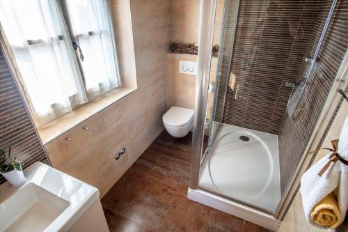 a bathroom with a shower and a toilet and a sink at Villa Pavicini 2181 in Šegotići