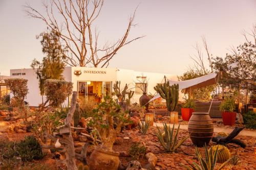 a garden of plants in front of a building at Inverdoorn Game Reserve Lodge in Breede River DC