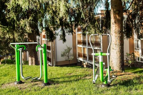 two green play equipment in the grass near a tree at DW Halicz in Solina