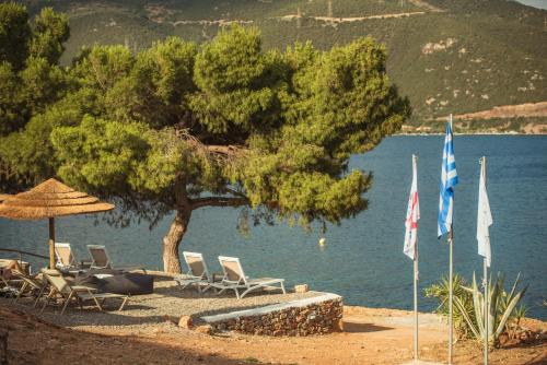 Gambar di galeri bagi Trizonia Bay Hotel di Trizonía