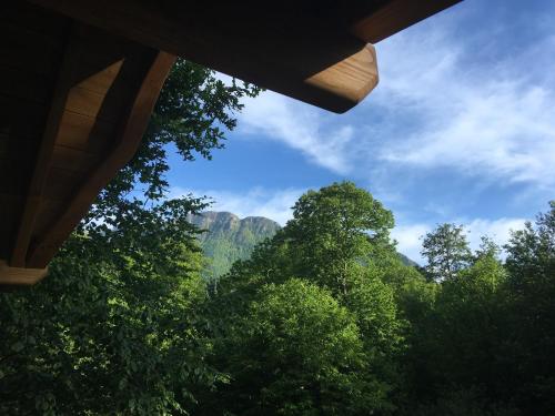a view of trees and a mountain in the distance at Caban'Aspe in Accous