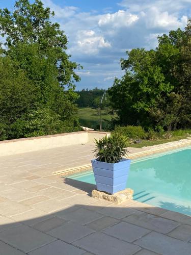 une plante en pot assise sur le côté de la piscine dans l'établissement Gite Le pigonnier Ecogite Le Luquet Saint Beauzeil 82150, à Saint-Beauzeil