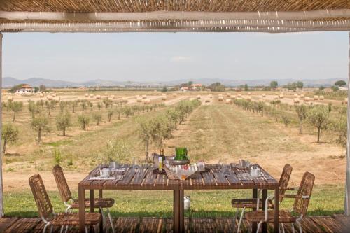 a dining table with chairs and a view of a field at Casale Oliveta in Orbetello