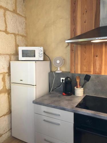 La cuisine est équipée d'un réfrigérateur blanc et d'un four micro-ondes. dans l'établissement Duplex en Pierre Proche des Arenes, à Arles