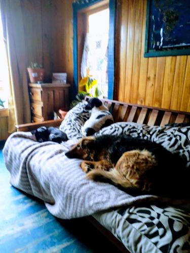Lo de Susana Home – Photos 5