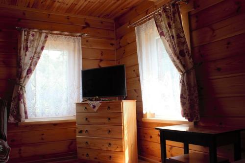 TV a/nebo společenská místnost v ubytování Wiejski domek w środku lasu Osłowo Mielnik