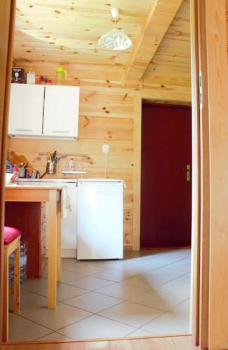 Kuchyň nebo kuchyňský kout v ubytování Wiejski domek w środku lasu Osłowo Mielnik