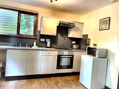 cocina con electrodomésticos de acero inoxidable y nevera en Wren 21-Hot Tub-Woodland Lodges-Tenby-Camarthenshire, en Carmarthen