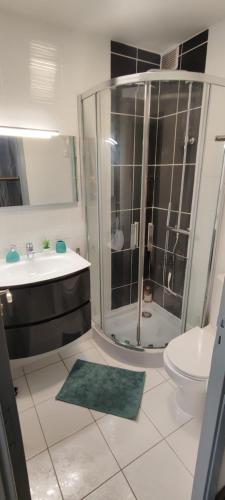 une salle de bain avec une douche, un lavabo et des toilettes dans l'établissement NEW ! Studio Le Goéland, à La Grande Motte