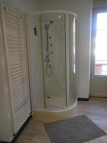 a shower with a glass door in a room with a rug at Les Chambres de Marvejols in Marvejols