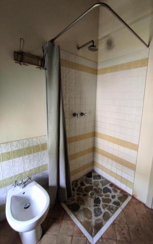 a bathroom with a shower and a toilet and a sink at Eremo Gioioso in Pontremoli