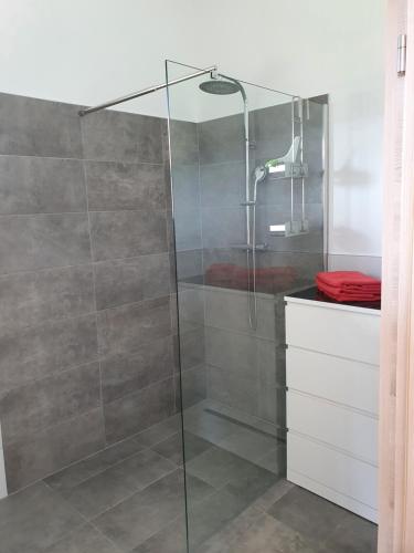 La salle de bains est pourvue d'une douche avec une porte en verre. dans l'établissement Ferienhäuser Seetraum, à Weissensee