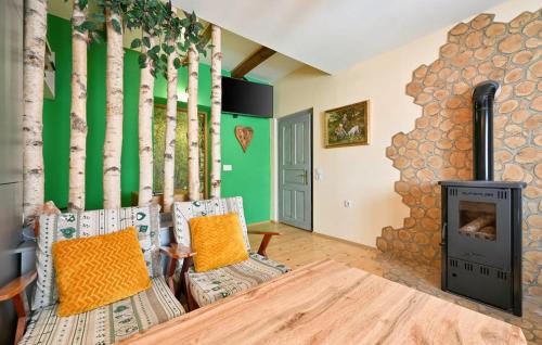 a living room with two chairs and a wood stove at HIŽA BAKE ROZE in Gornja Konjšćina