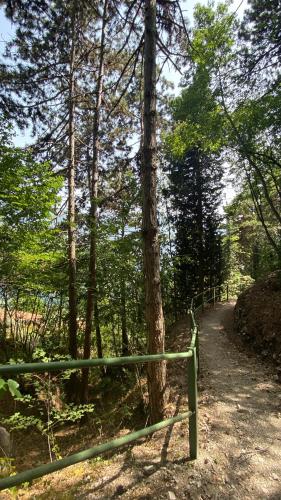 a green fence on a trail in the woods at Residence Dalco Suites & Apartments in Limone sul Garda