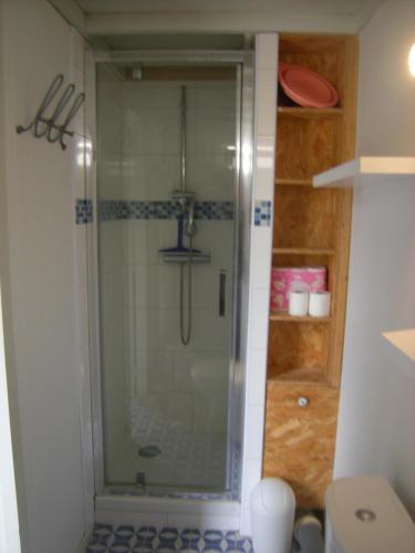 La salle de bains est pourvue d'une douche en verre et de toilettes. dans l'établissement AV GAMBETTA, à Arcachon